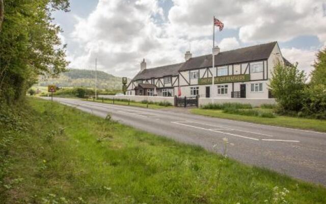 The Plume of Feathers, A458