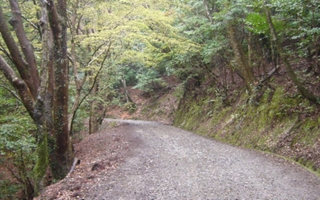 Hatago Hasegawa
