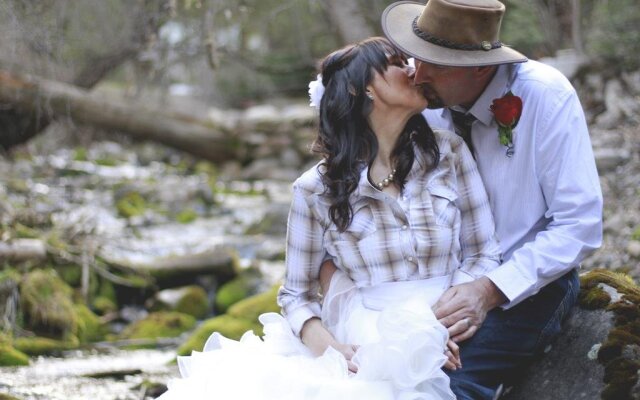 Treehouse On The Stream