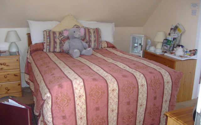 Springfield B & B