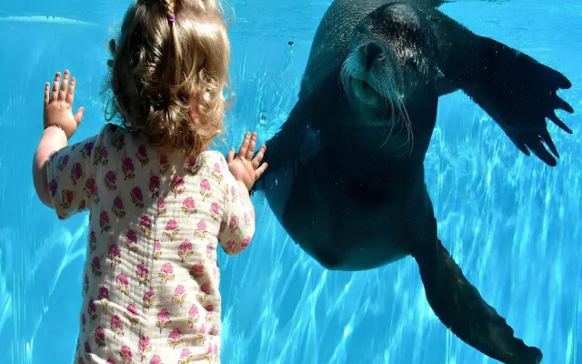 Pet-friendly Coastal Getaway