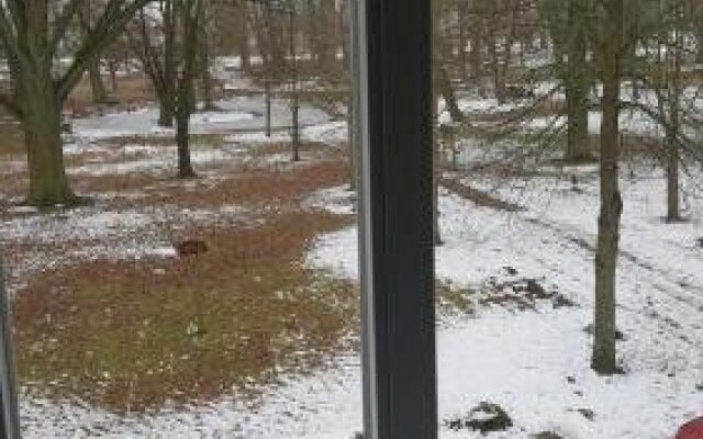 Gaststatte Zum Storchennest Inh. Peggy Cyllik