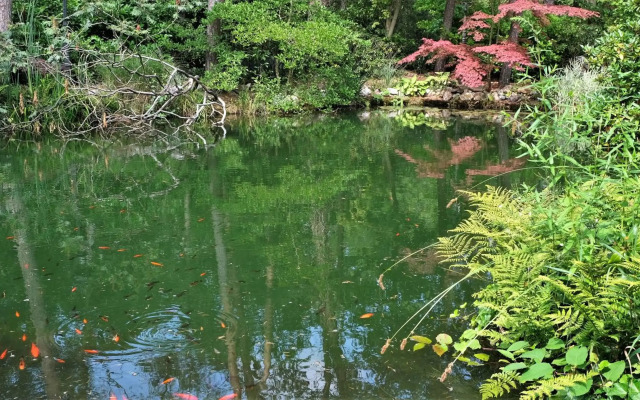 Vakantiewoning Salland