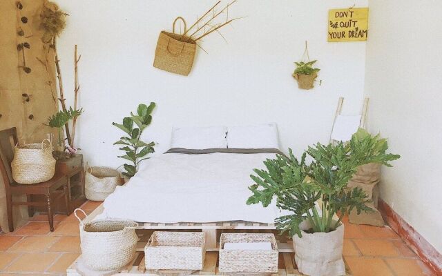 Mint Haus