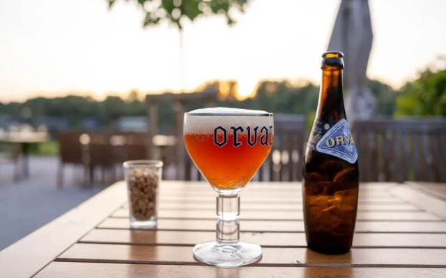 Comfort & Nature Bungalow