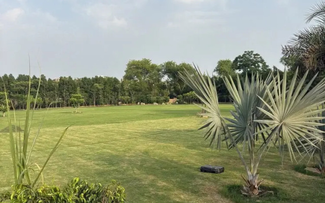 The Greenwood Farm And Lawn -Bijwasan