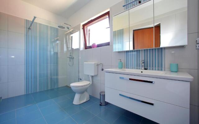 Apartment Goga