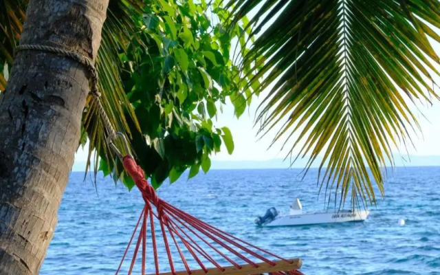 Coco Komba