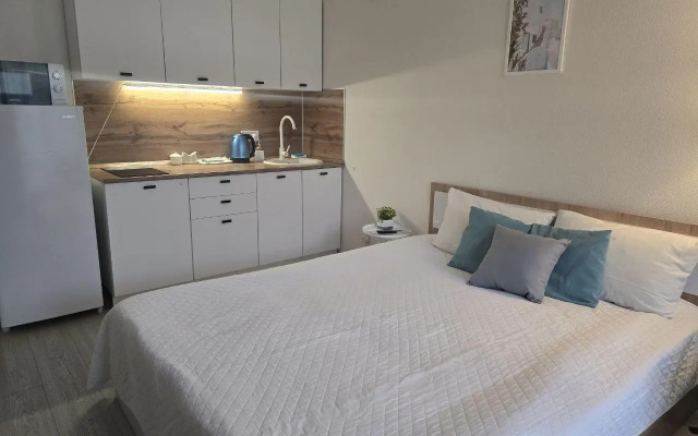 Апартаменты на бульваре Зеленый 19