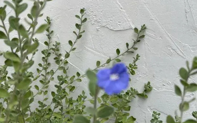 Zhaoqing Chidu Homestay