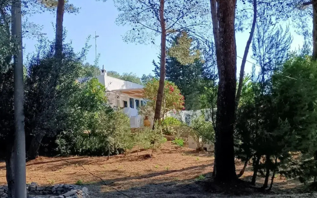 Small Country House Biokikko