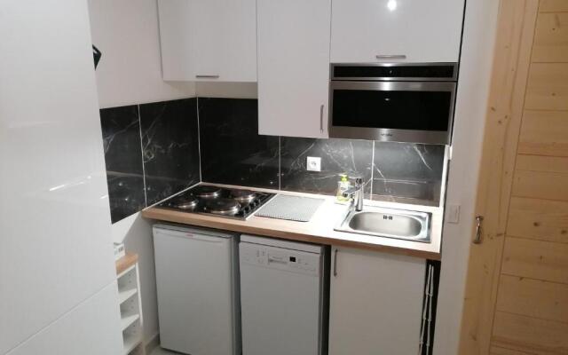 Appartement La Clusaz, 1 pièce, 4 personnes - FR-1-459-64