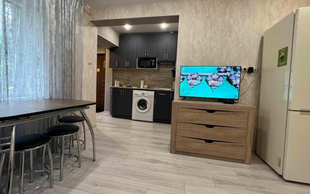 Апартаменты Свои на улице Дунаевского