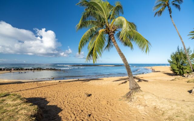 Hale Kahana'lu 2 Bedroom Condo by RedAwning