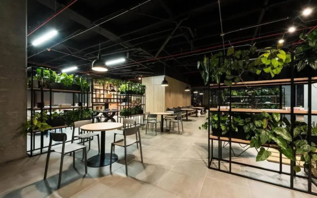 Go Living Suites: Your Medellin Retreat