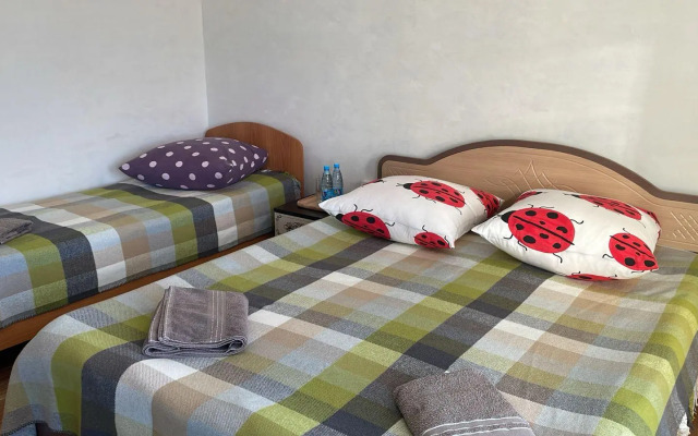 Кедр Золотой