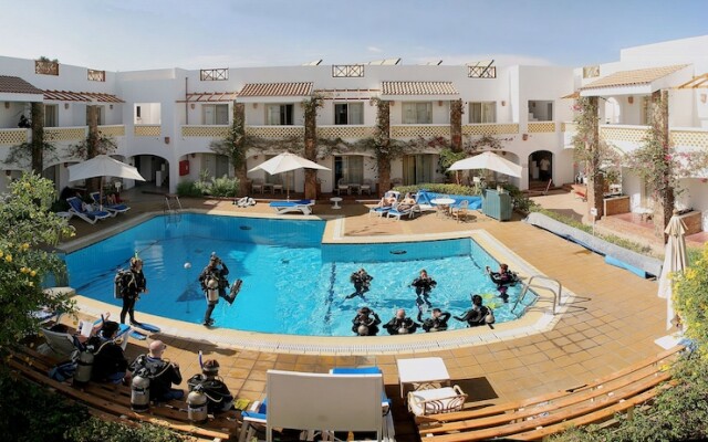 Camel Dive Club & Hotel