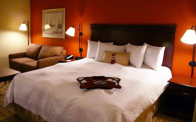 Hampton Inn Houston-Near The Galleria