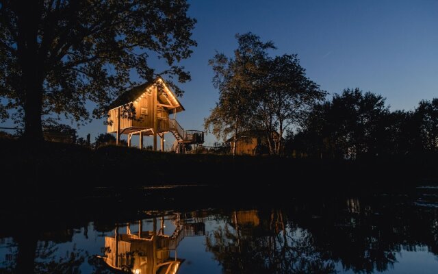 Beautiful Wooden Tree House With Terrace