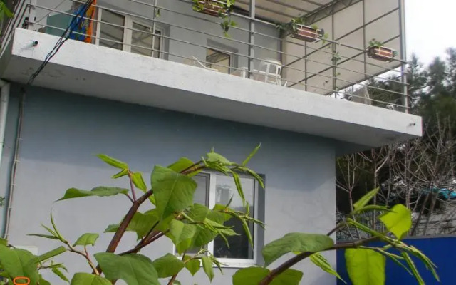 Guest House Anastasiya