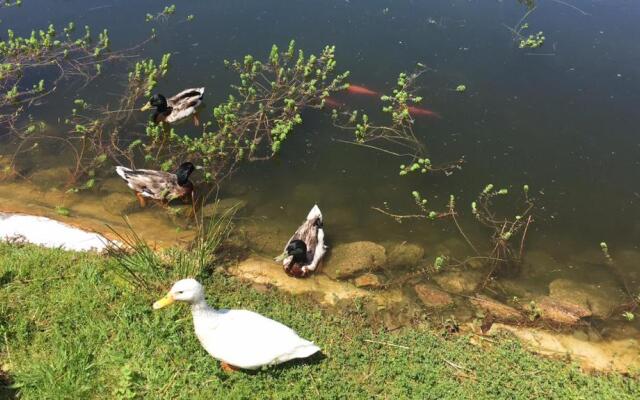 Quinta das Mineirinhas Apartamentos Turisticos