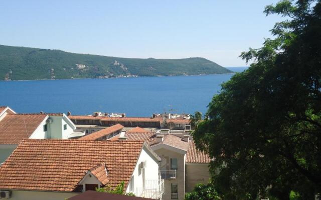 Apartments Villa Micunovic