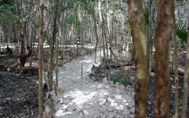 Aldea Maya Ha Cabanas Con Cenotes