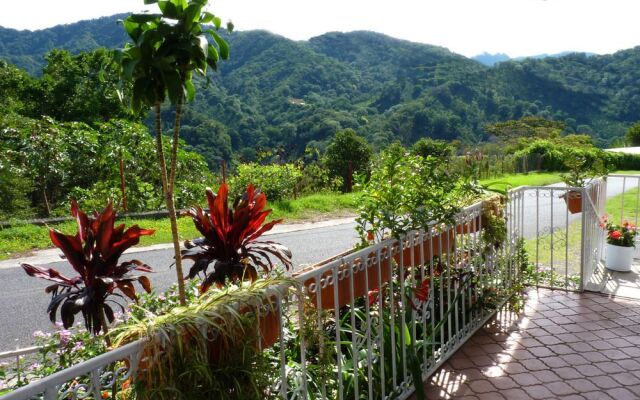 Autana Bed and Breakfast - Hostel