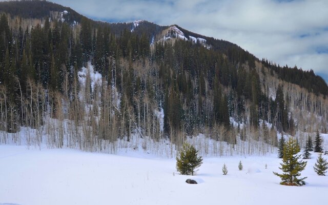 Timberfalls 1902 2 Bedroom Condo by RedAwning