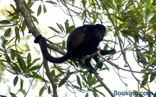 Sunrise 26 at Tamarindo