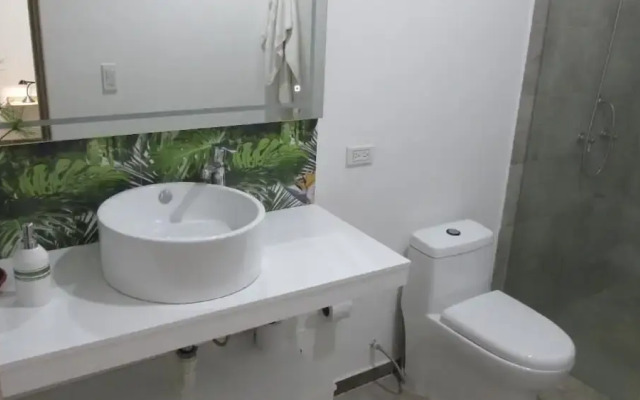 50N15 B&B