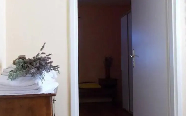 Apartment Tonka
