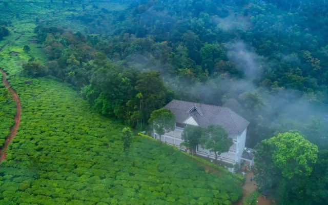 Tea Harvester Munnar