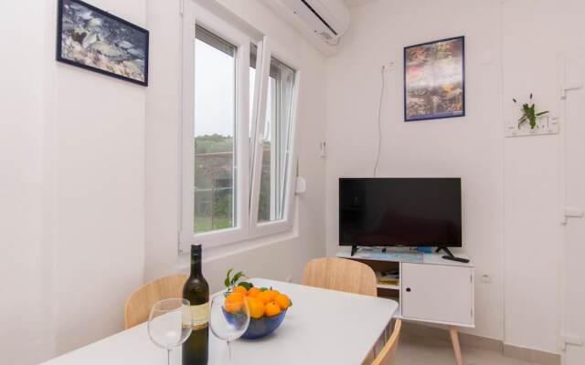 Apartment Alenka