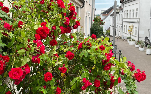 Ferienwohnung Frieda