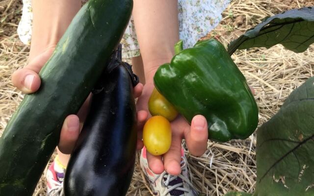 Nakasendo Ashida-Shuku Tateshina Akariya