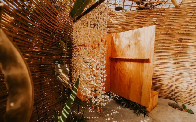 The Seed Habitat
