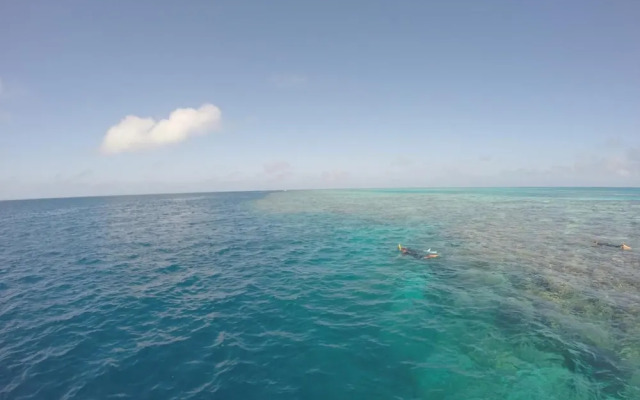 Island View