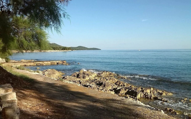 Brane - Charming and Close to the sea - SA1