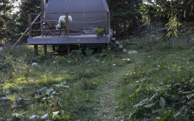 Eco Bivouac Village D'Igloo - Campground