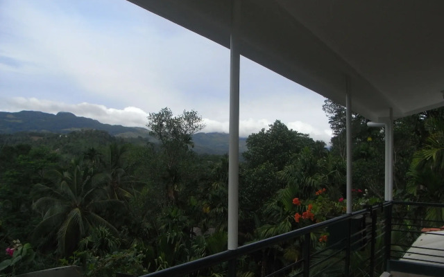 Rainforest Lodge