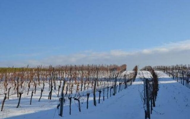 Bauernhof Wein-Bett Wiedeck