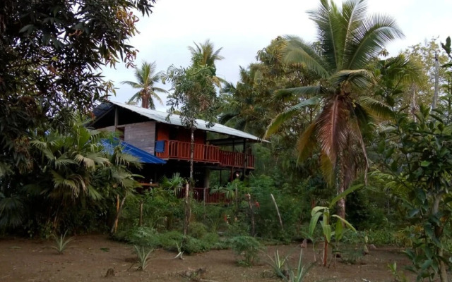 Rio Mar Bahía Solano Choco Colombia