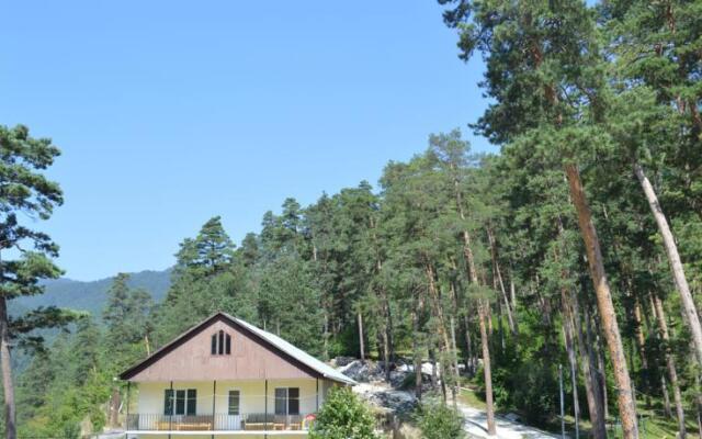Guest House on Meskheti