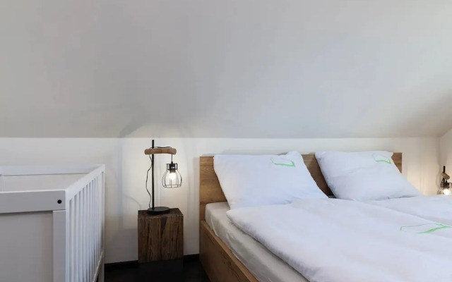 Apartment in Moravia Near Ostrava Town
