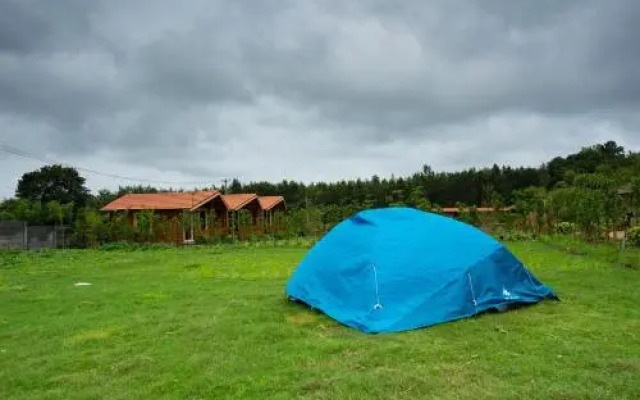 Trippr Chikkamagaluru
