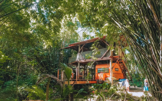 Cabana do Tarzan