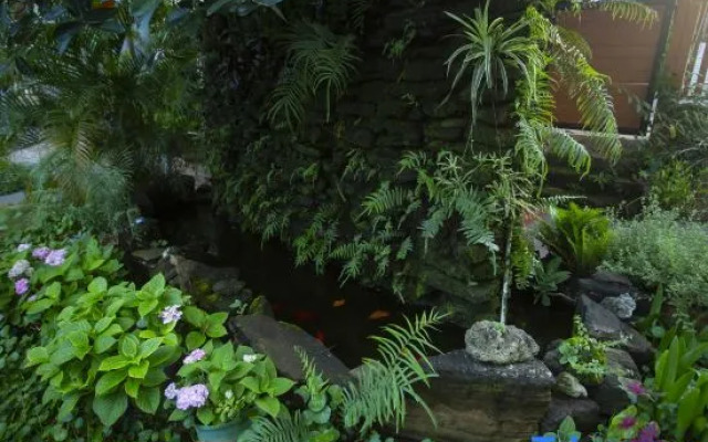 Weizhou Island Yihua Yiye Garden Homestay
