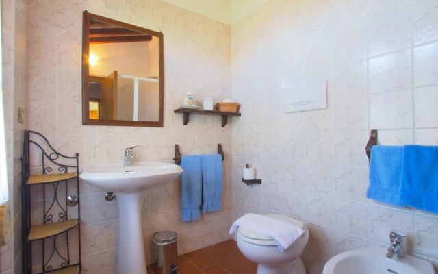 Ciliegiolo La Cava in La Cava