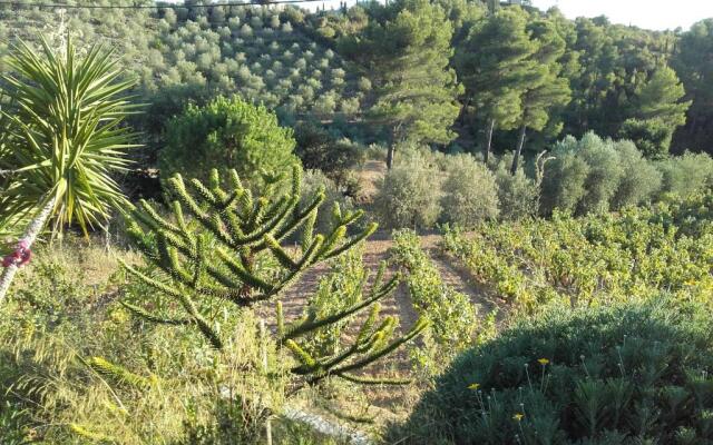 La Bastide de l'Oliveraie